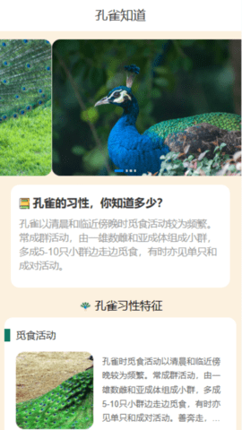 孔雀享看