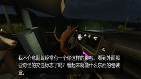 疯狂拉力车手