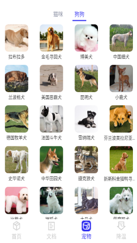 指尖盒子