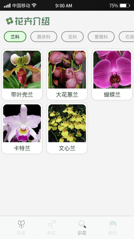 指尖花语