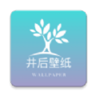 井后壁纸