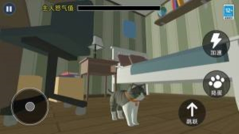 猫咪城市历险记