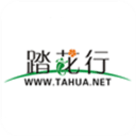 踏花行