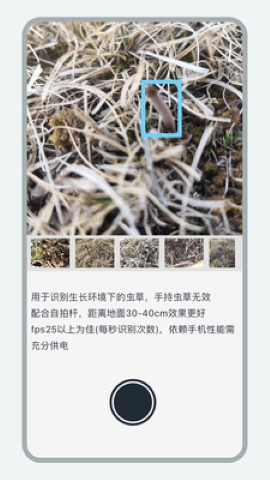 乐见虫草app