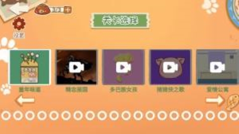 爱收纳的喵喵