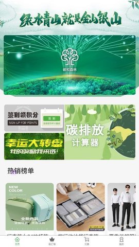 碳和森林