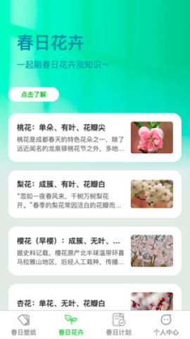 春光轻刷