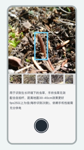 乐见虫草app