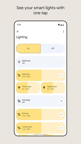 google home