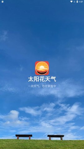 太阳花天气