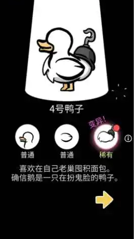 奇怪的鸭子
