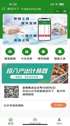 禽冠天下