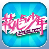 花儿与少年