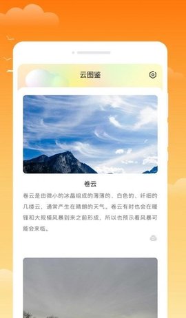金麦天气