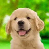 我和狗狗(My Dog)