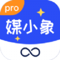 媒小象