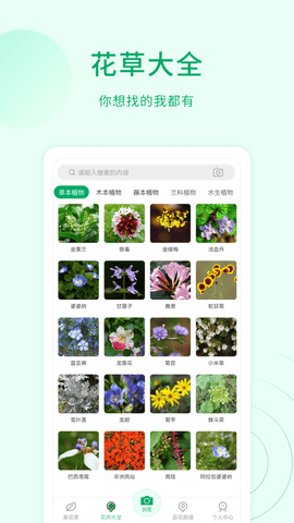 花草识别