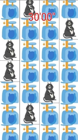 打猫猫