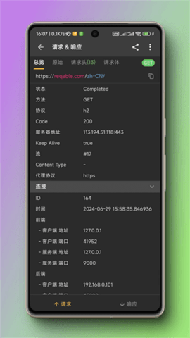 黄鸟抓包(Reqable)