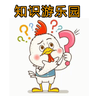 知识游乐园