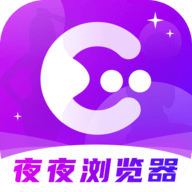 夜夜浏览器