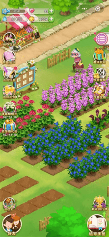 鲜花小镇