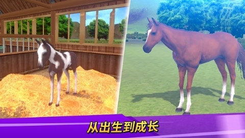 德比生活无限金币版