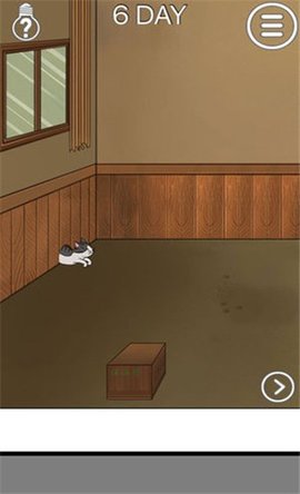 我的猫咪找不到了(Find the Cat)