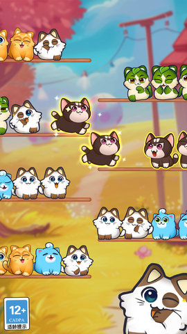 猫猫对对碰