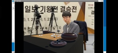 提子无悔