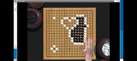 提子无悔