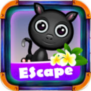 Halloween Black Cat Escape