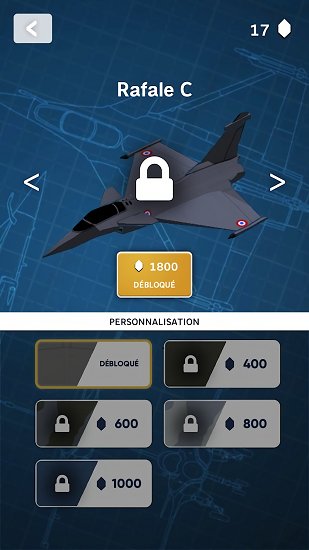 Dassault Air Flight