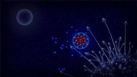 Microcosmum
