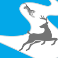 Animal Chase