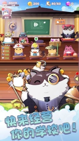 Cat School