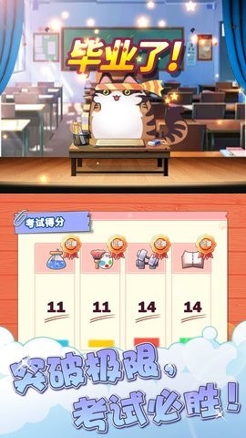 Cat School