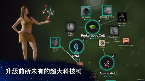 Cells