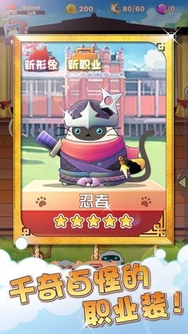 Cat School