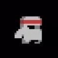 Run Dude