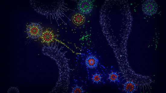 Microcosmum