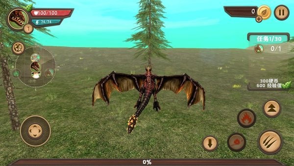 Dragon Sim