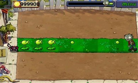 pvzzj