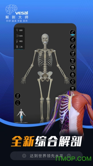 维萨里3D解剖大师