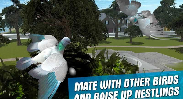 City Bird Pigeon Simulator 3D