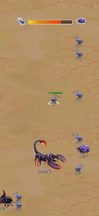 Insect Evolution