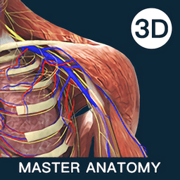 维萨里3D解剖大师