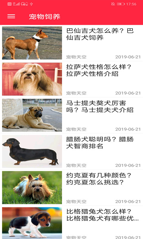 火猫宠社