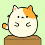 Puni Neko