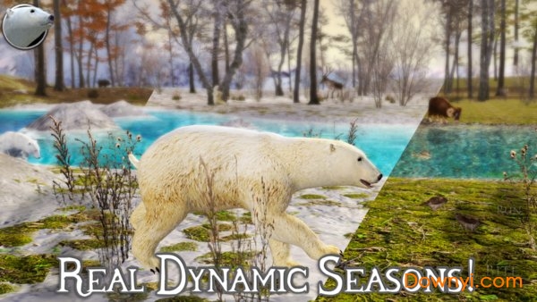 PolarBear2